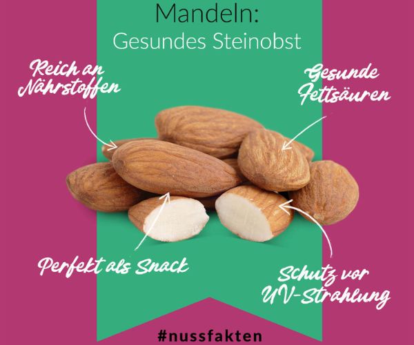 mandeln-nussfakten