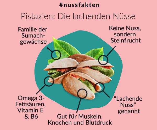 nussfakten-zu-pistazien