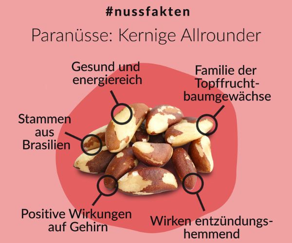 peranuesse-nussfakten