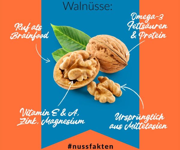 walnuesse-nussfakten