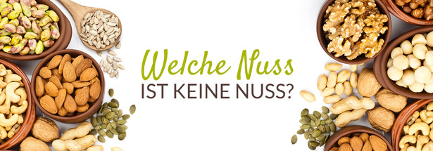 Welche Nuss ist keine Nuss?