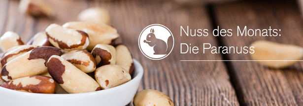 Nuss des Monats: Die Paranuss