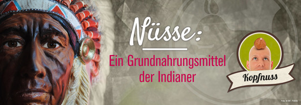 Nüsse: Ein Grundnahrungsmittel der Indianer