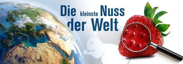 Die kleinste Nuss der Welt