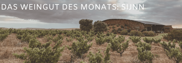 Das Weingut des Monats: Weingut Sijnn