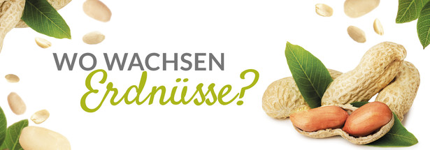 Wo wachsen Erdnüsse?