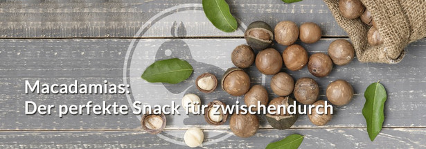 Macadamias: Der perfekte Snack für zwischendurch