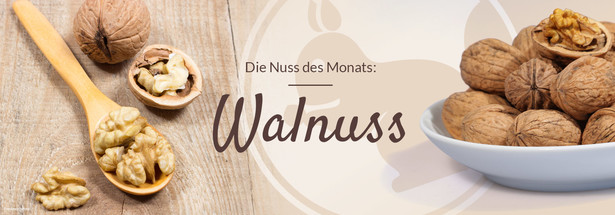 Nuss des Monats: Walnuss