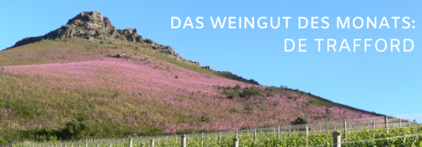 Das Weingut des Monats: Weingut de Trafford