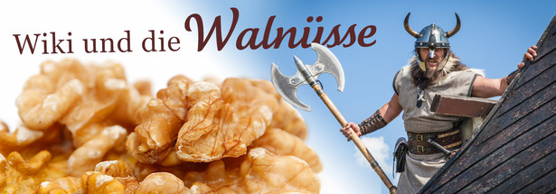 Wiki und die Walnüsse