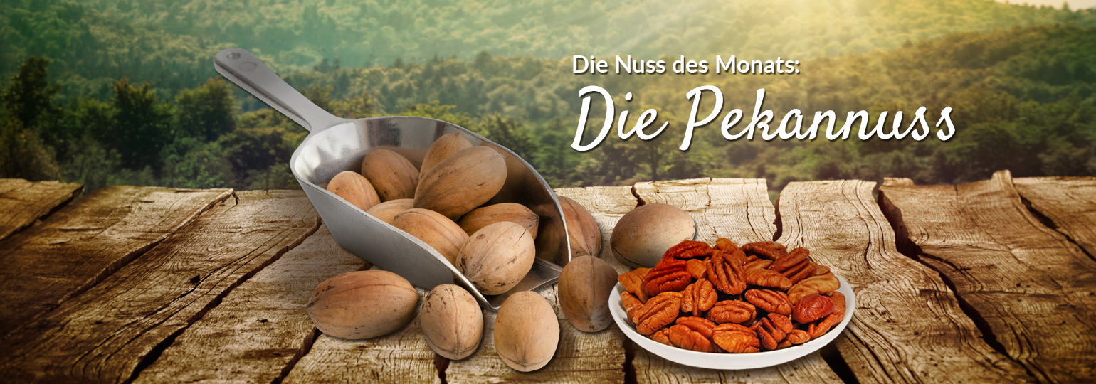 Nuss des Monats: Die Pekannuss