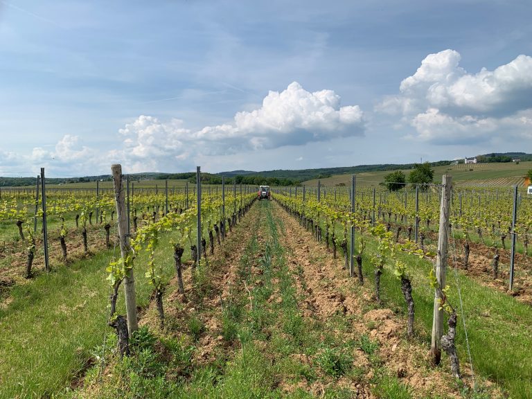 Weingut Johannesberger