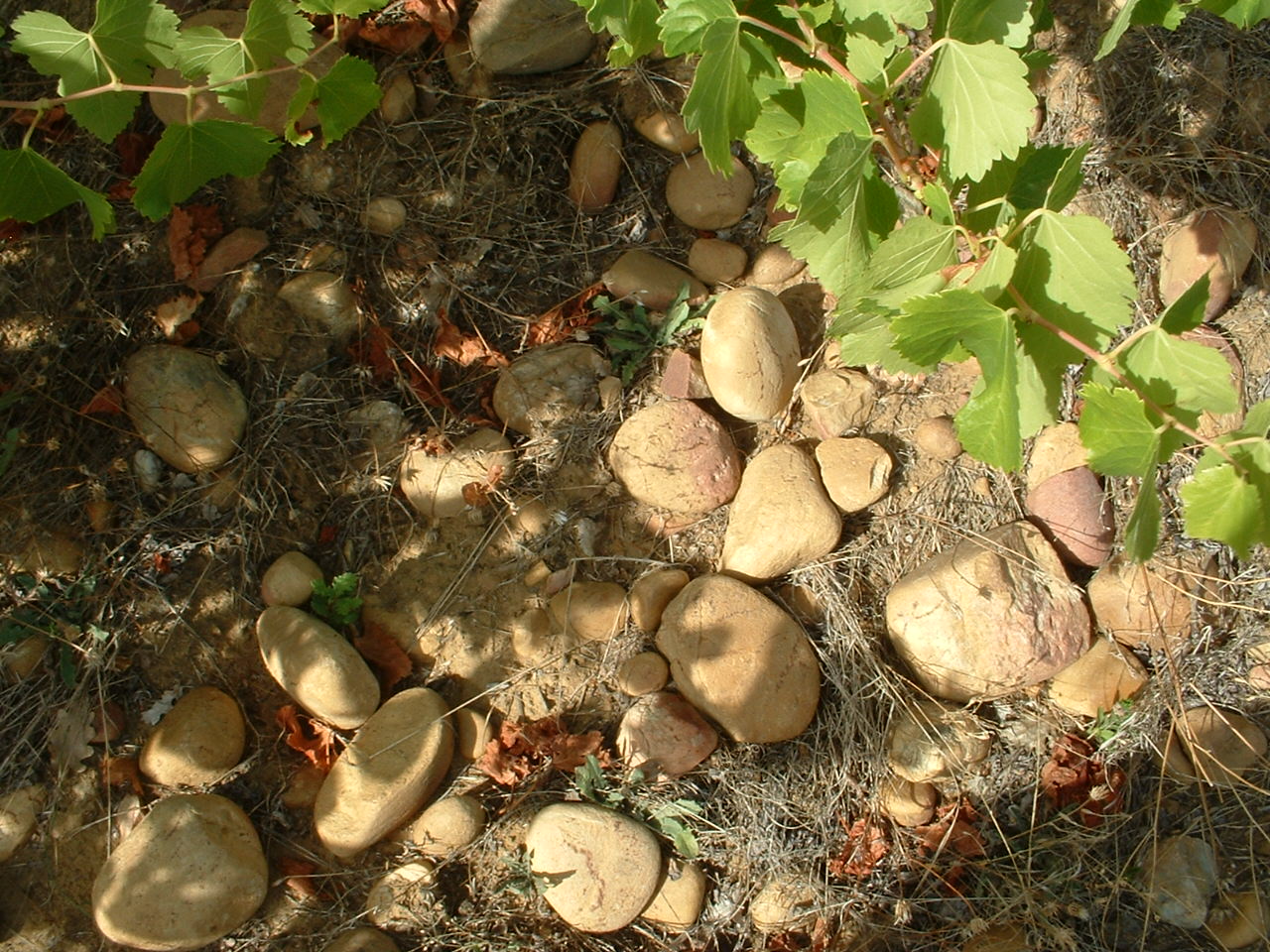 Böden Weinberge Roche-Audran