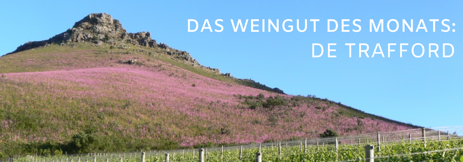 Das Weingut des Monats: Weingut de Trafford