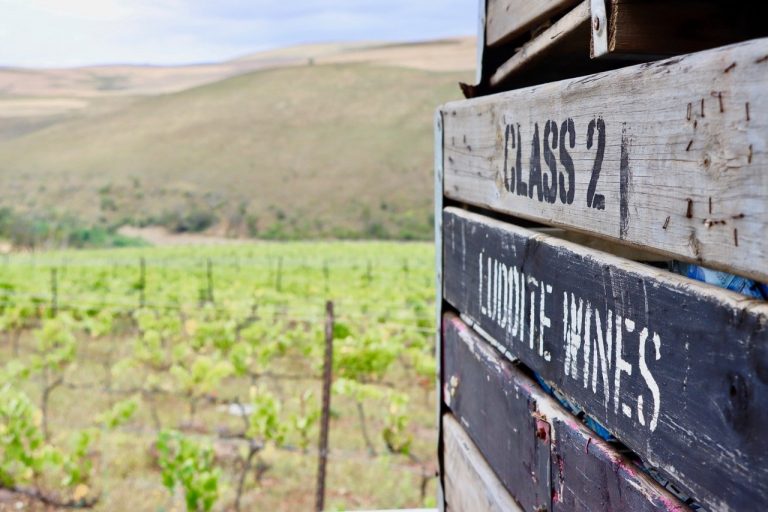 Böden des Weingut Luddite