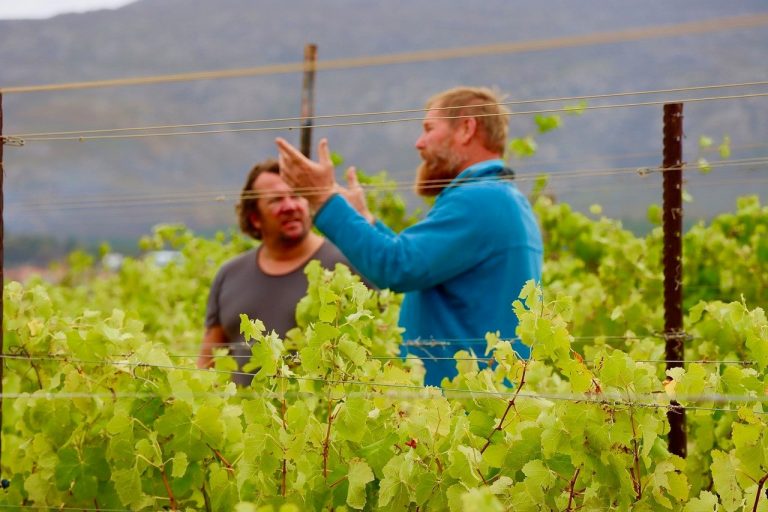 KERNenergie und Weingut Luddite