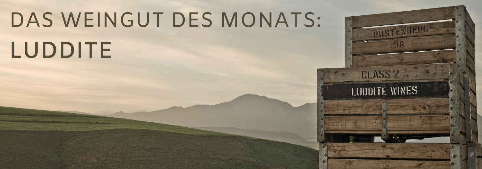 Das Weingut des Monats: Weingut Luddite