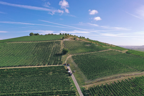 Weinberge