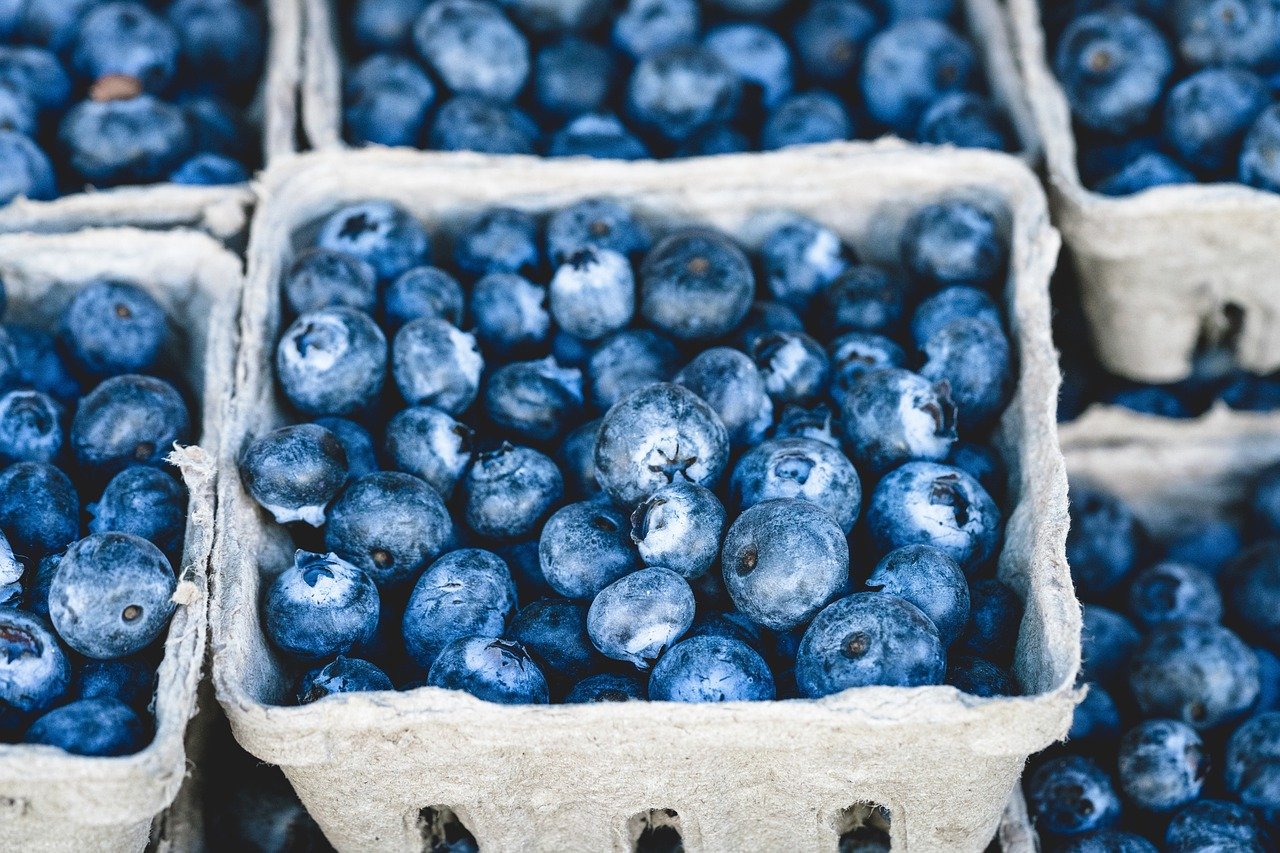 Blaubeeren in Schale