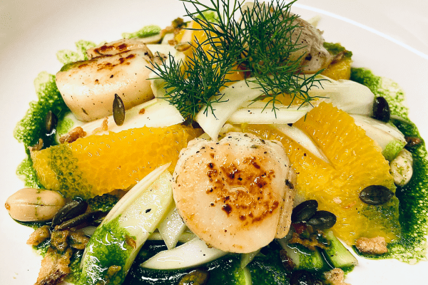 gebratenen Jakobsmuscheln auf Fenchel Orangen Salat