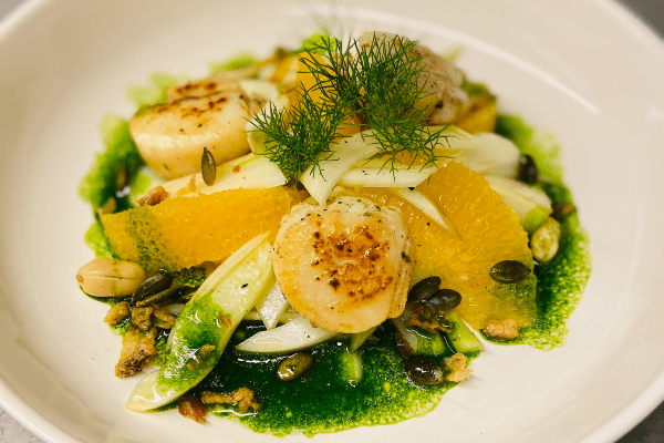 Fenchel Orangen Salat mit gebratenen Jakobsmuscheln auf Teller