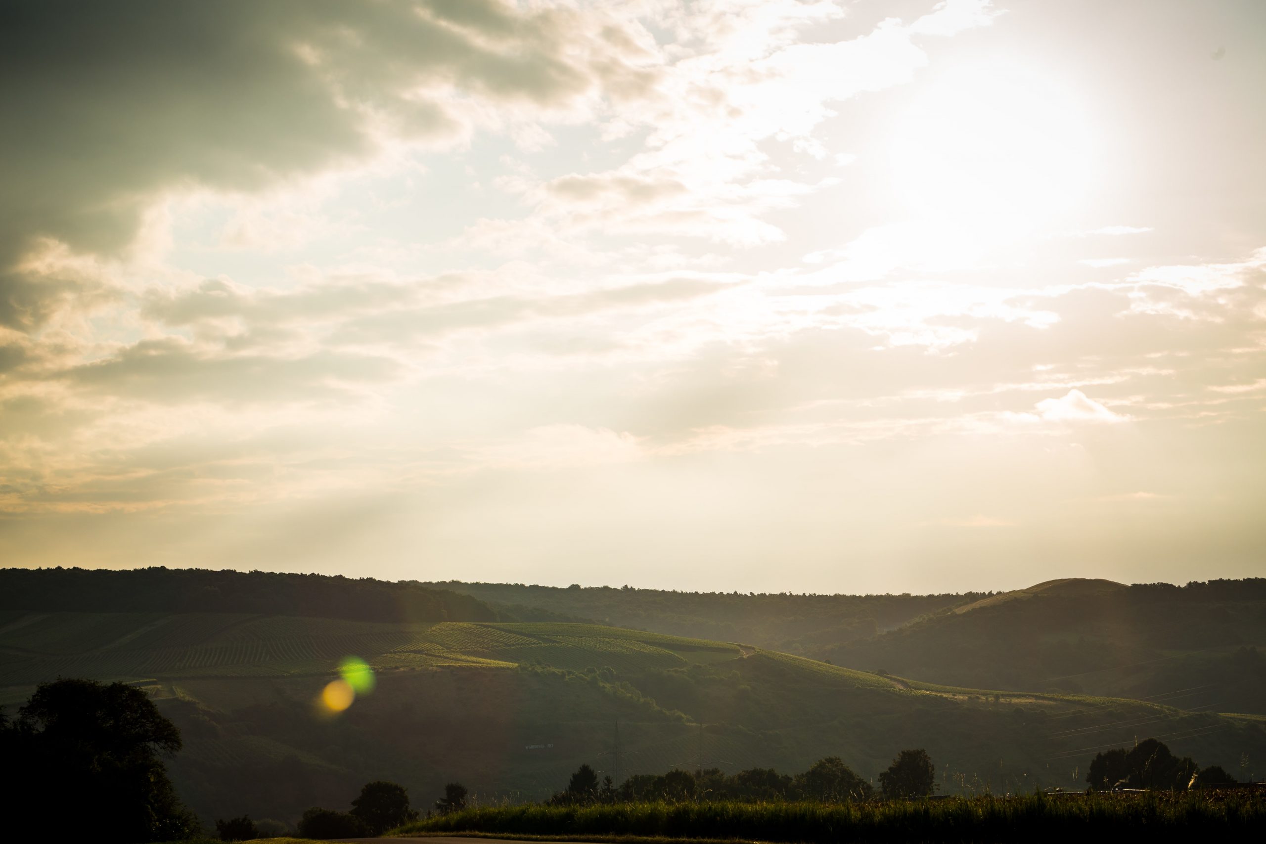 Sonnenuntergang über dem Weinberg Römerberg des Weinguts Marx